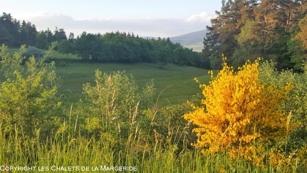 Les Chalets De La Margeride Blavignac Esterno foto