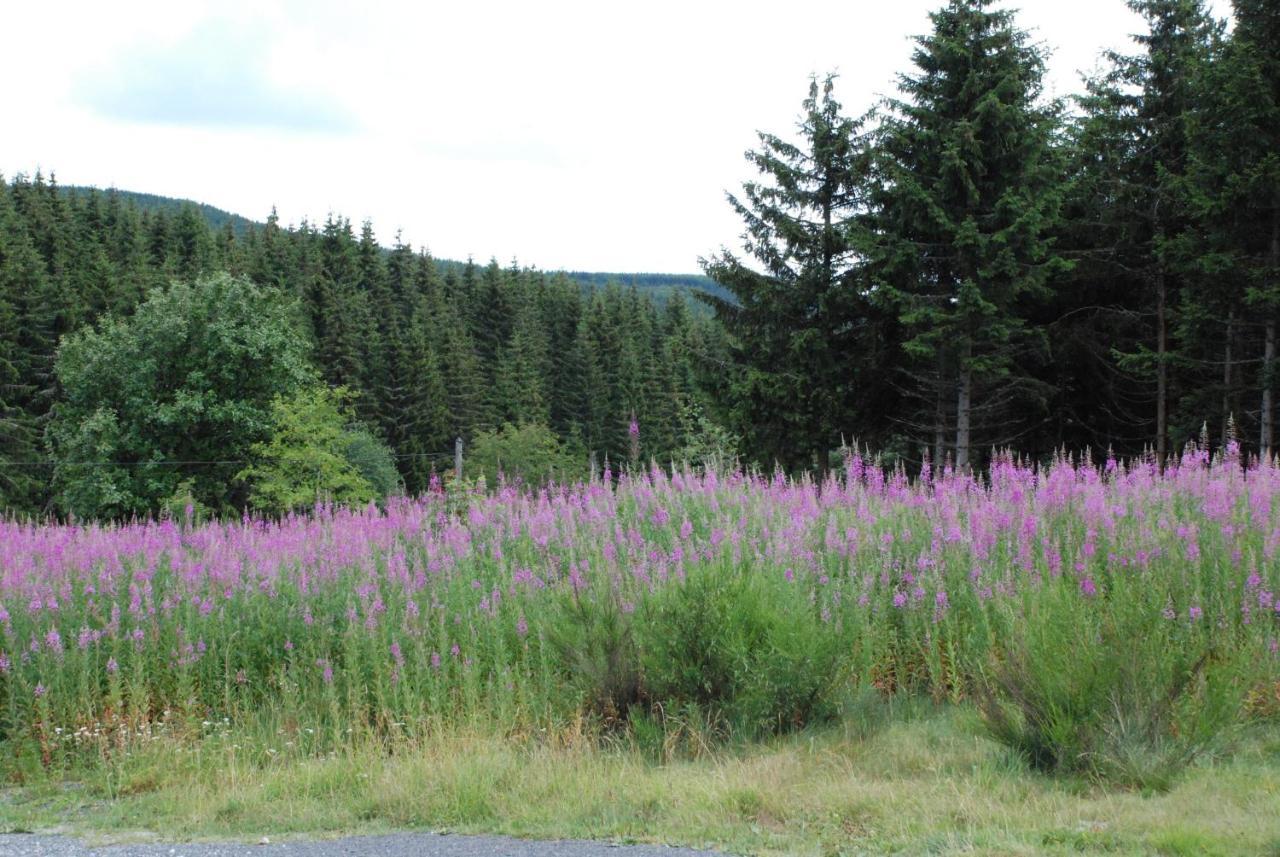 Les Chalets De La Margeride Blavignac Esterno foto